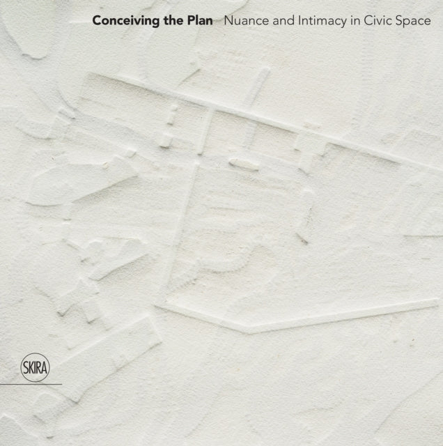 Book cover of: Conceiving the Plan. By: Yael Hameiri Sainsaux