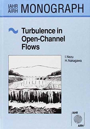Turbulence in Open Channel Flows