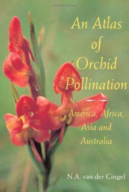 Book cover of: Atlas of Orchid Pollination. By: Nelis A. van der Cingel
