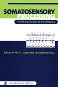 Somatosensory Processing