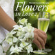 Book cover of: Flowers in Love Ll. By: Moniek Vanden Berghe