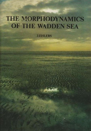 Morphodynamics of the Wadden Sea