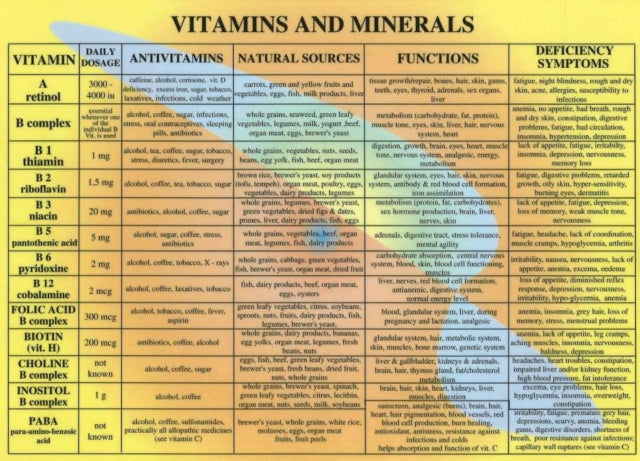 Book cover of: Vitamins & Minerals -- A4