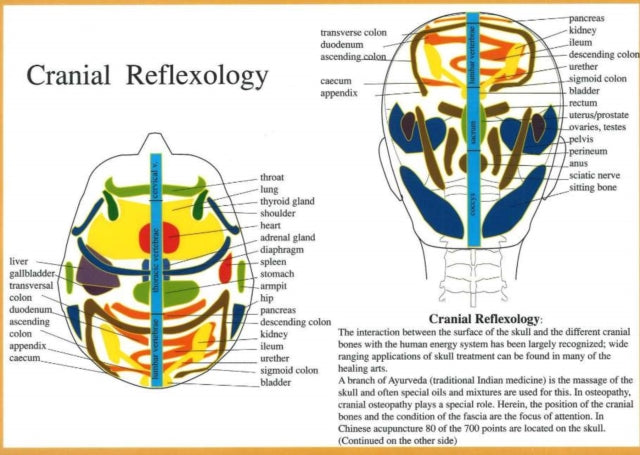 Book cover of: Cranial Reflexology -- A4