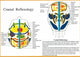 Book cover of: Cranial Reflexology -- A4