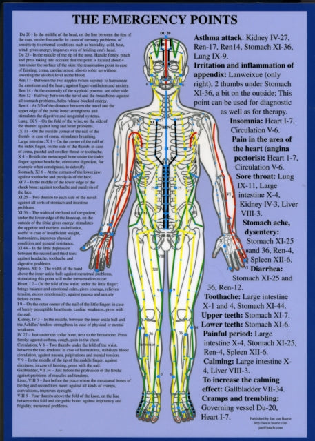 Book cover of: Alarm Points / Emergency Points -- A4