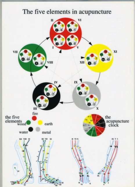 Book cover of: Five Elements in Acupuncture -- A4