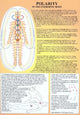 Book cover of: Polarity in the Energetic Body -- A4