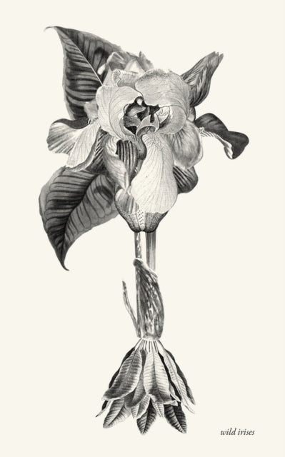 Book cover of: wild irises. By: XXXXX XXXXX