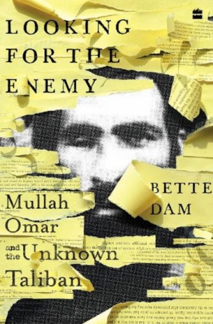 Book cover of: Looking for the Enemy. By: Bette Dam