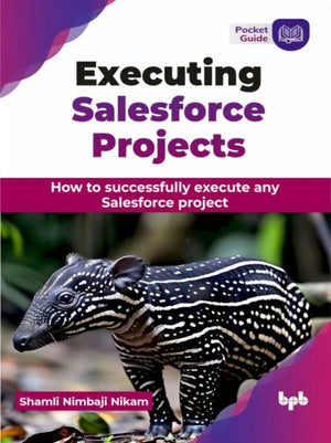 Executing Salesforce Projects
