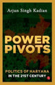 Book cover of: Power Pivots