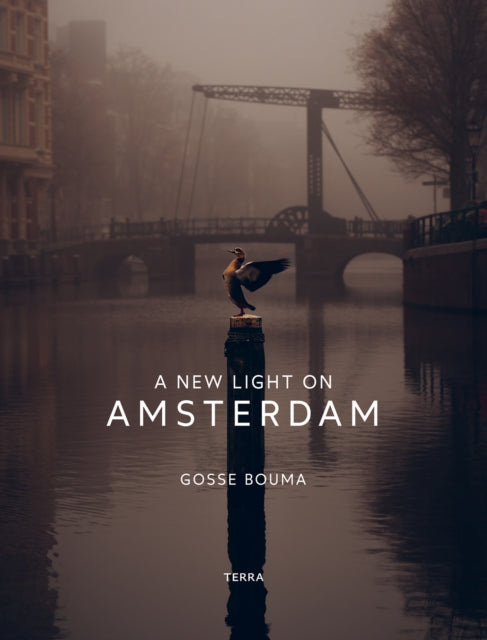 Book cover of: New Light on Amsterdam. By: Gosse Bouma