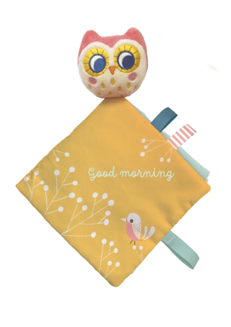 Book cover of: Little Owl