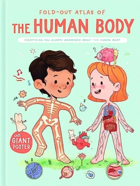 Book cover of: Human Body (Fold-Out Atlas of)