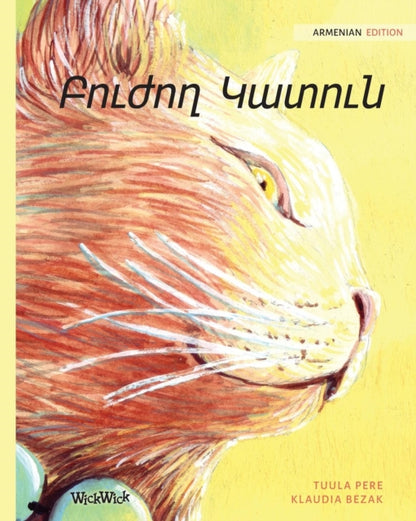 Book cover of: Բուժող Կատուն