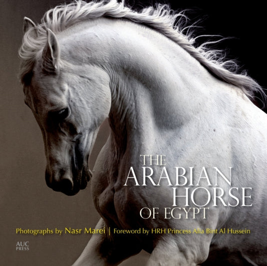 Book cover of: Arabian Horse of Egypt. By: Nasr Marei