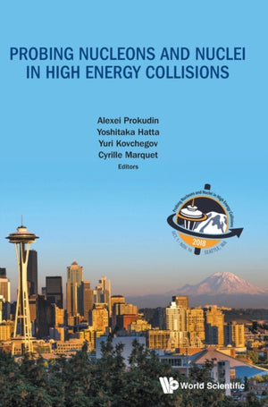 Probing Nucleons And Nuclei In High Energy Collisions - Proceedings Of The Int Program Int-18-3