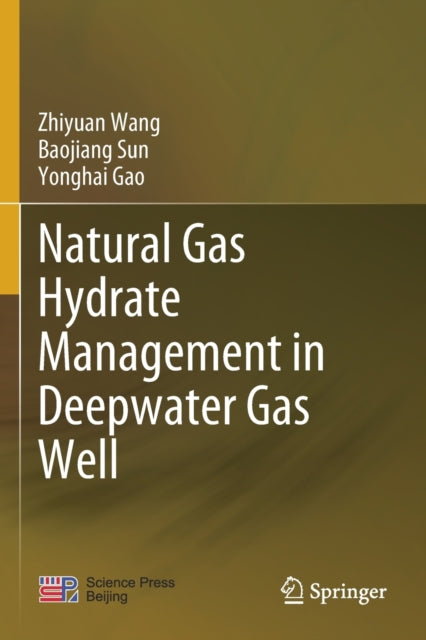 Book cover of: Natural Gas Hydrate Management in Deepwater Gas Well. By: zhiyuan Wang