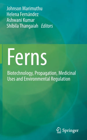Ferns