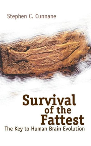 Survival Of The Fattest: The Key To Human Brain Evolution