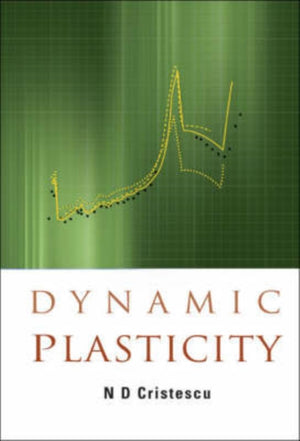 Dynamic Plasticity