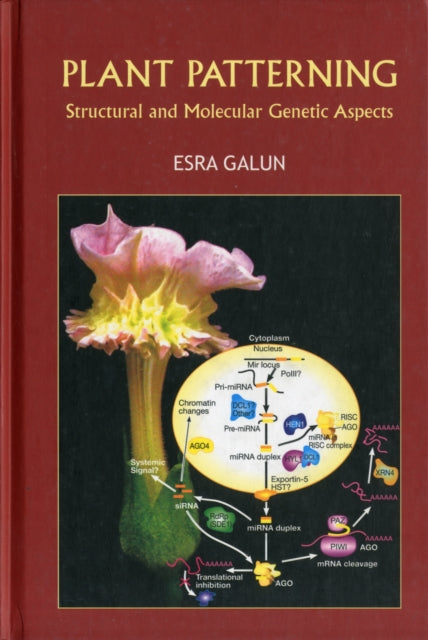 Book cover of: Plant Patterning: Structural And Molecular Genetic Aspects. By: Esra Galun