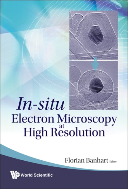Book cover of: In-situ Electron Microscopy At High Resolution