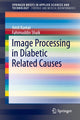 Book cover of: Image Processing in Diabetic Related Causes. By: Amit Kumar