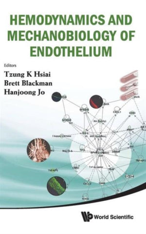 Hemodynamics And Mechanobiology Of Endothelium