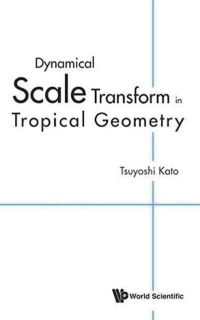 Book cover of: Dynamical Scale Transform In Tropical Geometry. By: Tsuyoshi Kato