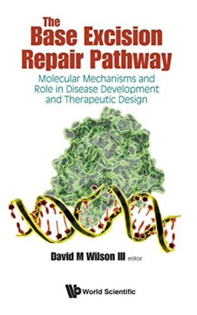 Book cover of: Base Excision Repair Pathway, The: Molecular Mechanisms And Role In Disease Development And Therapeutic Design. By: David M. Wilson