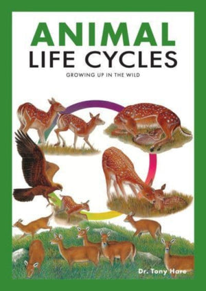 Animal Life Cycles, Discovering How Animals Live in the Wild