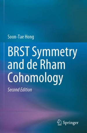 BRST Symmetry and de Rham Cohomology