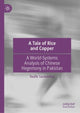 Book cover of: Tale of Rice and Copper. By: Toufic Sarieddine