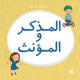 Book cover of: Kareem and Hanan series