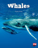 Book cover of: Whales Level 24 X6
