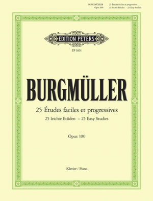 25 Easy & Progressive Studies Op.100