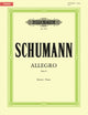 Book cover of: Allegro in B minor Op.8