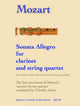 Book cover of: Sonata Allegro