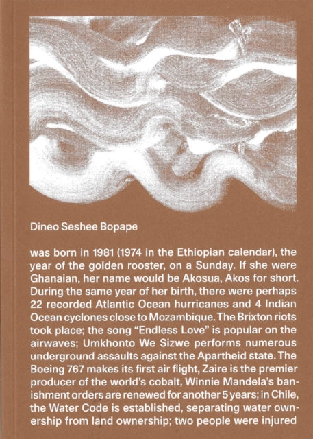 Book cover of: Dineo Seshee Bopape. By: Dineo Seshee Bopape