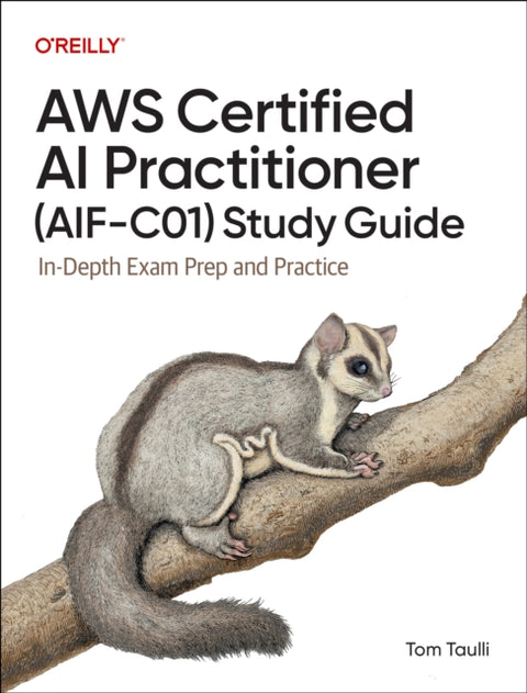 AWS Certified AI Practitioner Study Guide