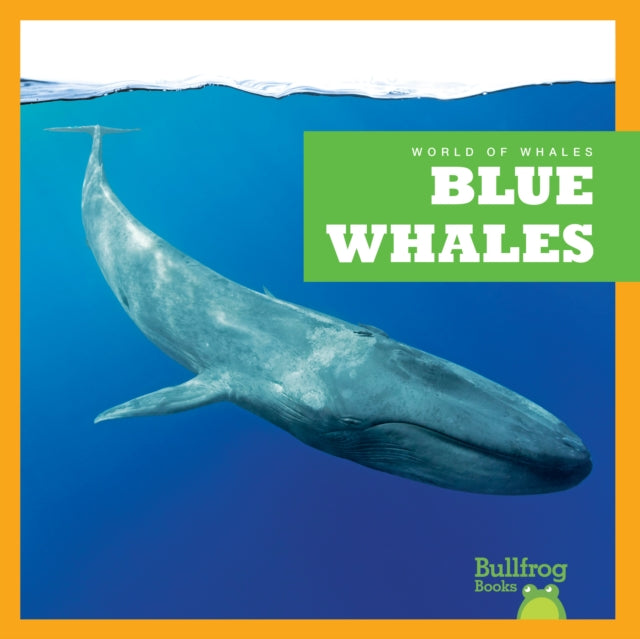 Book cover of: Blue Whales. By: Leahy