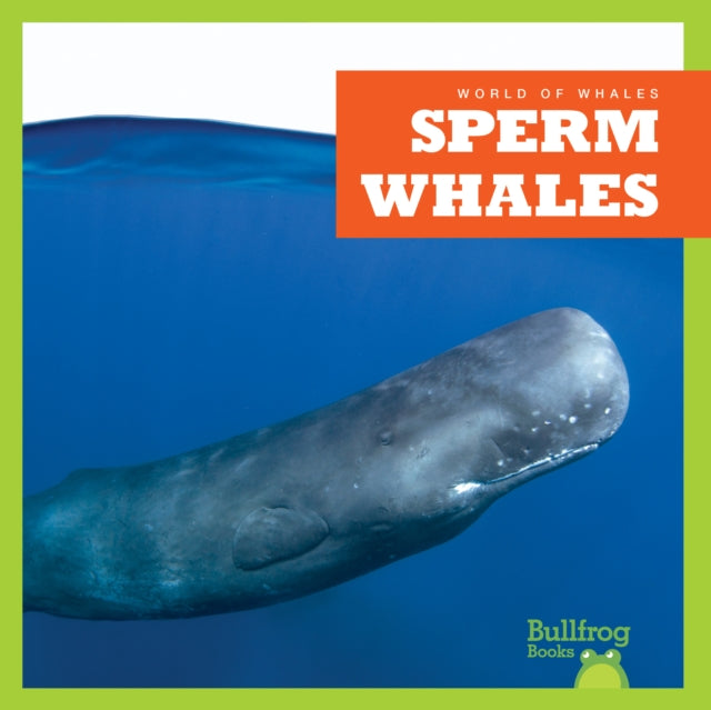 Book cover of: Sperm Whales. By: Chanez