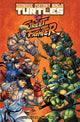 Book cover of: Teenage Mutant Ninja Turtles Vs. Street Fighter. By: Paul Allor