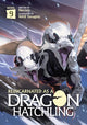 Reincarnated as a Dragon Hatchling (Light Novel) Vol. 9 9798888431337 Necoco