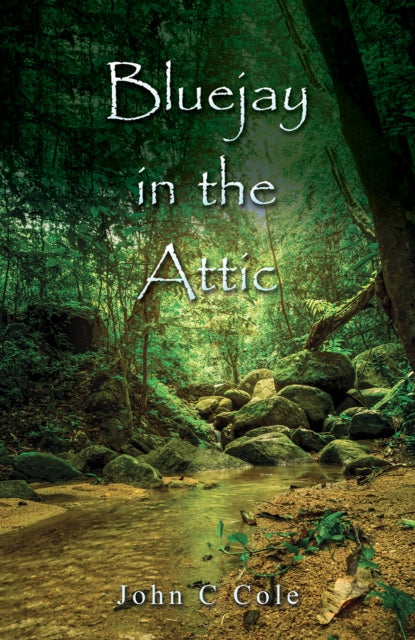 Book cover of: Bluejay in the Attic