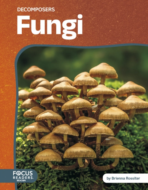 Book cover of: Fungi. By: Brienna Rossiter