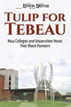 Book cover of: Tulip for Tebeau
