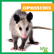 Book cover of: Opossums